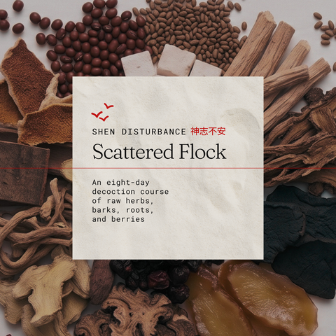 Scattered Flock Intensive
