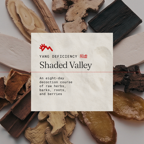 Shaded Valley Intensive
