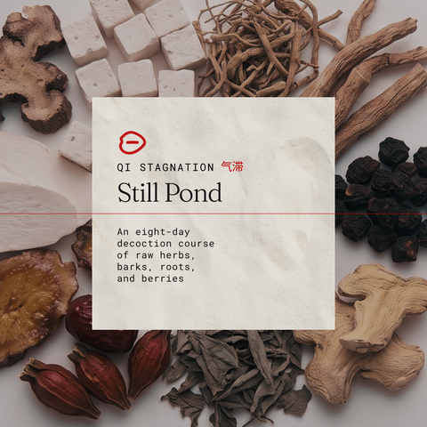 Still Pond Intensive