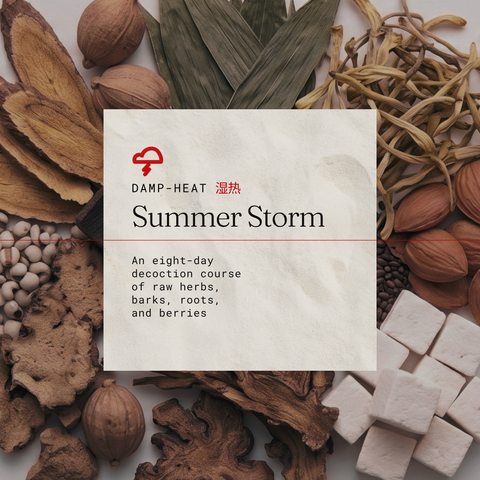 Summer Storm Intensive